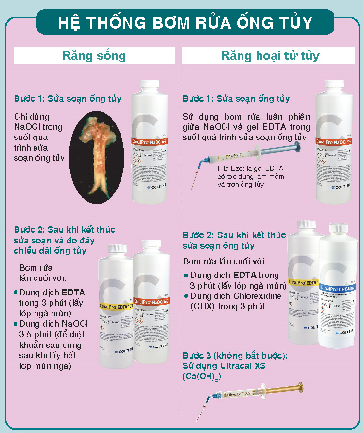 bom rua ong tuy canalpro 1