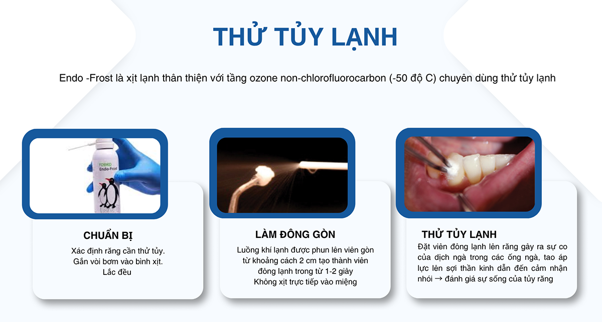 bình xịt lạnh thử tủy roeko endo-frost 2 duong dan su dung endo frost