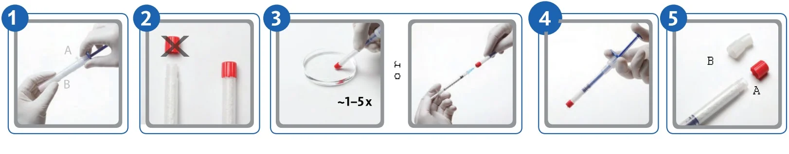 xương dị chủng bio-oss pen