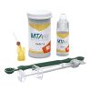 Trám bít ống tủy bioceramic MTApex
