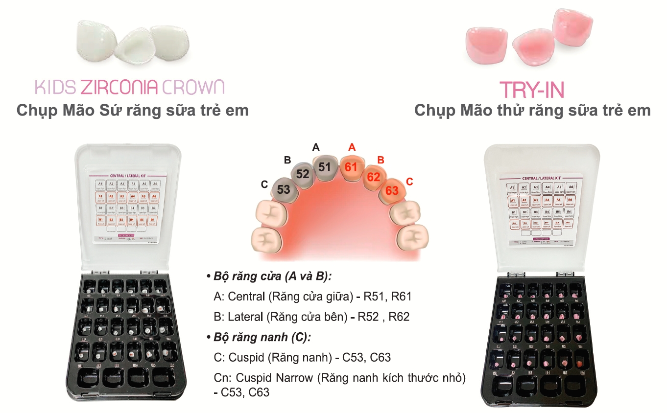 mão răng trẻ em kids zirconia crown 6 kids zirconia crown 1