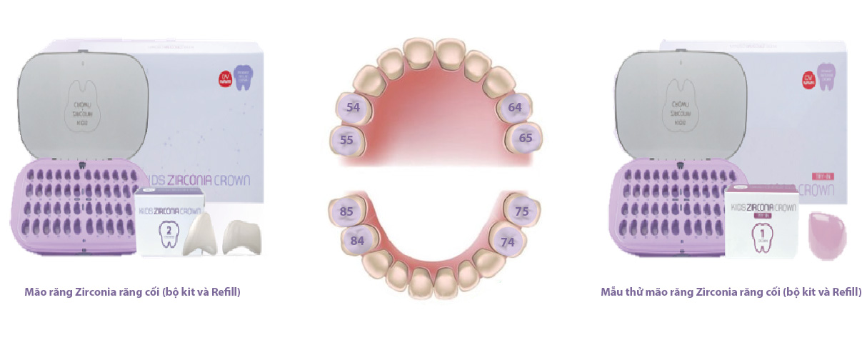 mão răng trẻ em kids zirconia crown 7 kids zirconia crown 2