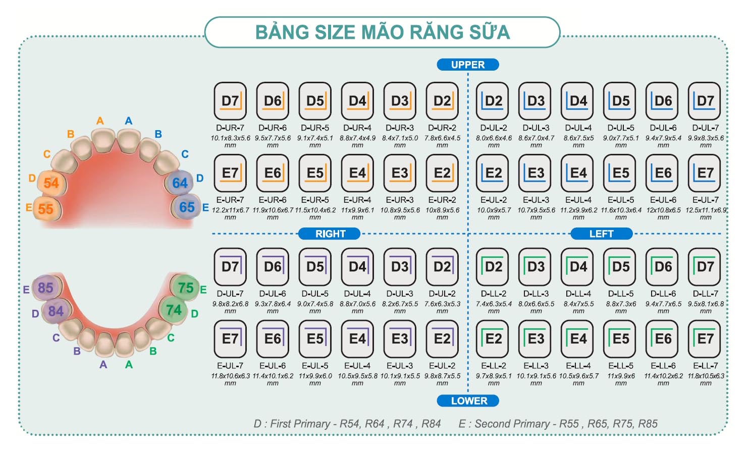 size kids crown shinhung