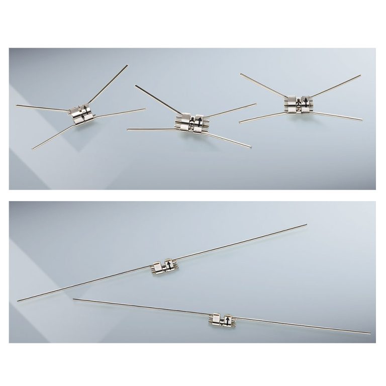 trang chủ 11 oc noi rong co dinh lewa 2