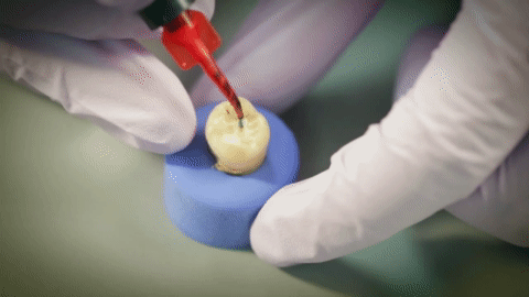 so sanh ultraseal xt hydro va clinpro 3m sealant nao tot hon