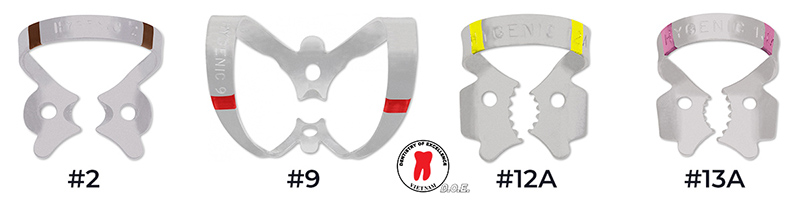 bộ clamp cánh fiesta cá mã màu winged