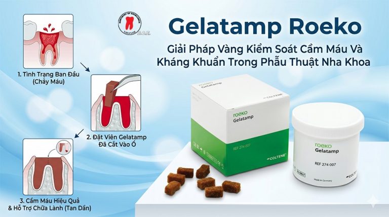 Gelatamp Roeko – Giải Pháp Vàng Kiểm Soát Cầm Máu
